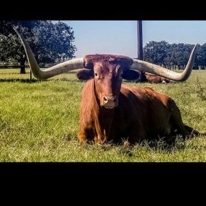 Meet your Posher, Dale